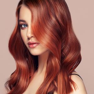 Blow Dry Package 2